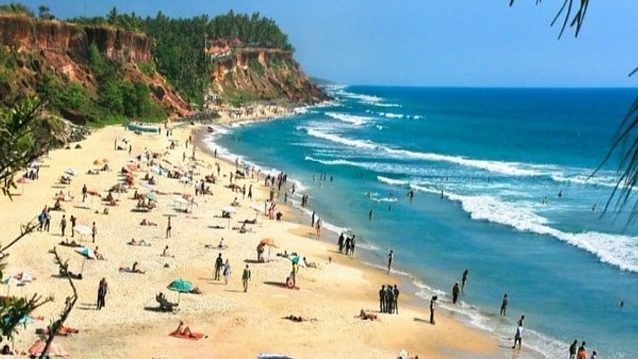 2 shack workers held for assaulting 3 veterinarians at Goa beach