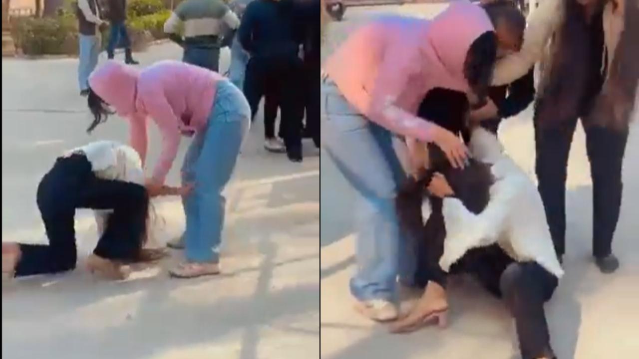 Greater Noida University Brawl, Viral Video