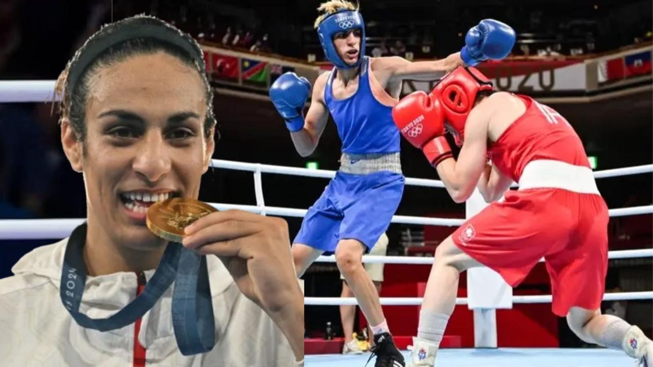 harbhajan singh furious when olympic medalist female boxer imane khelif turned out to be an man 