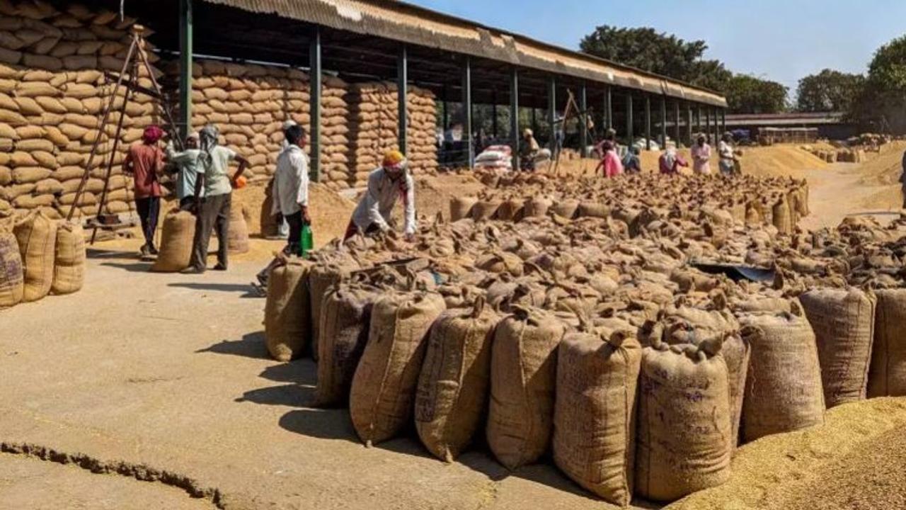 India to send 2 lakh tonne wheat to Nepal