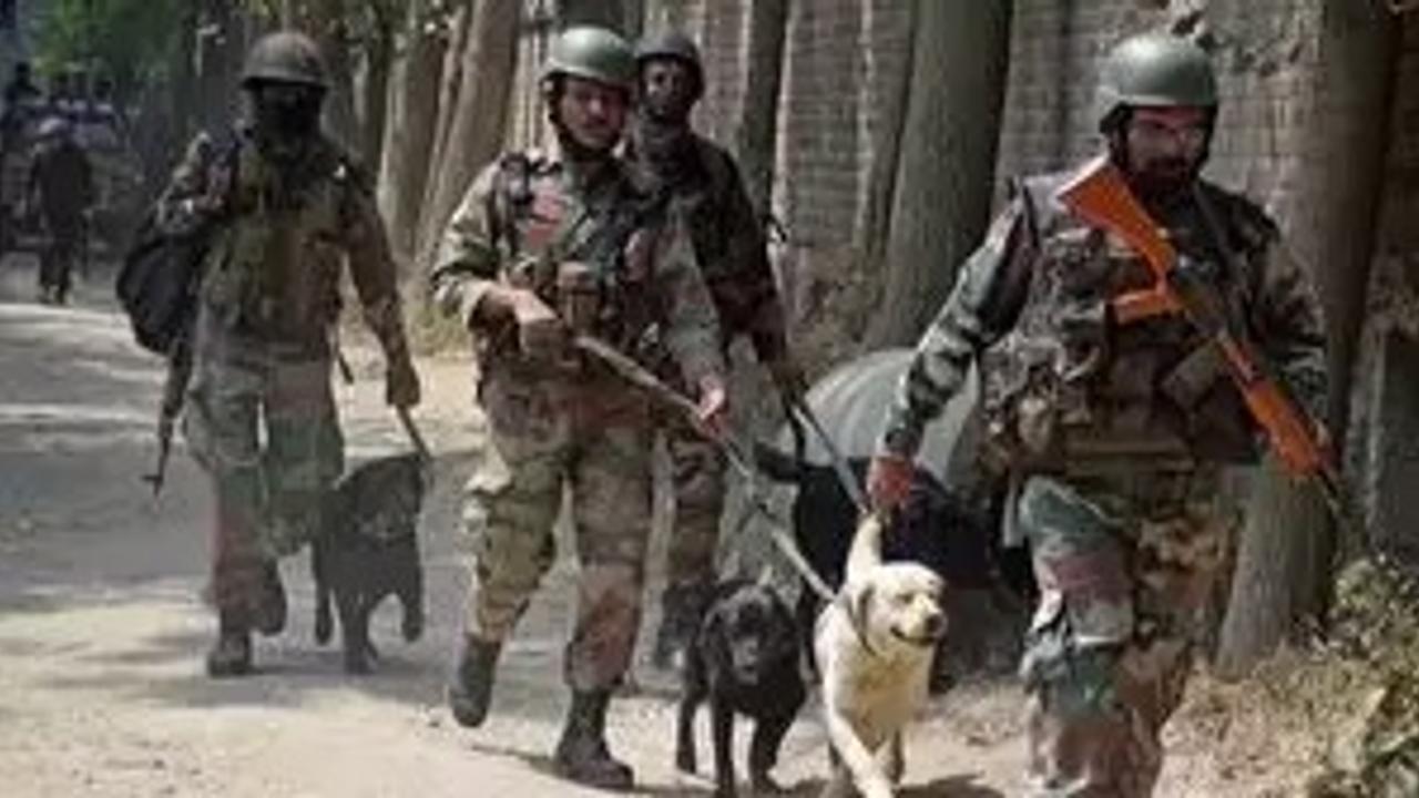 Indian army dog makes supreme sacrifice while tracking terrorists