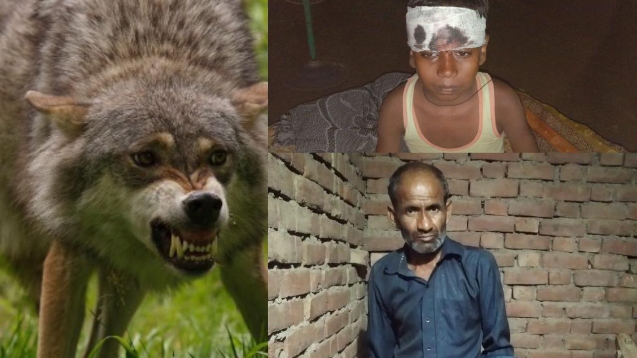 jackal-attack-kanpur