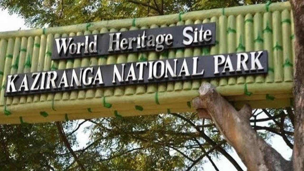 Kaziranga National