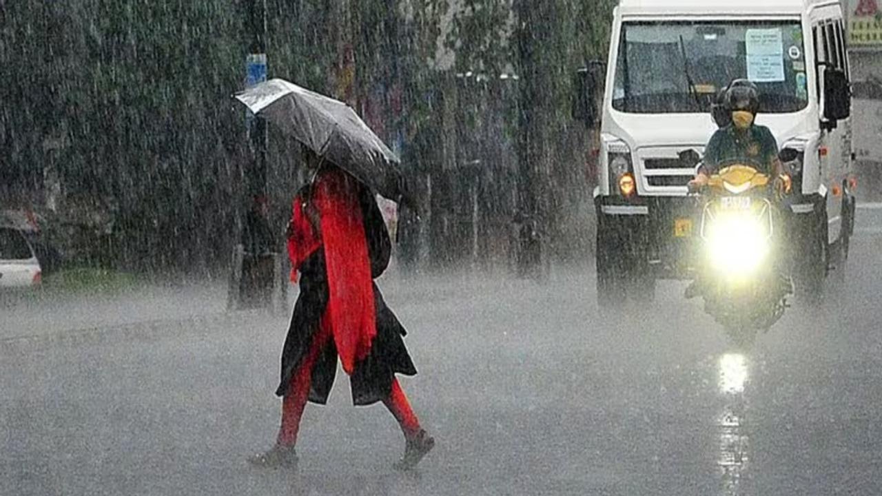 Monsoon Fury in Kerala: Alappuzha, Kannur, Idukki Bear Bru of Downpour 