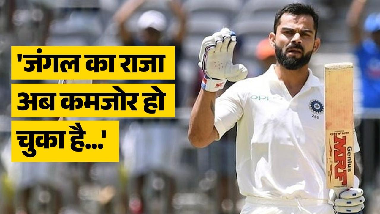 king of the jungle becomes weaker former australia cricketer taunts virat kohli