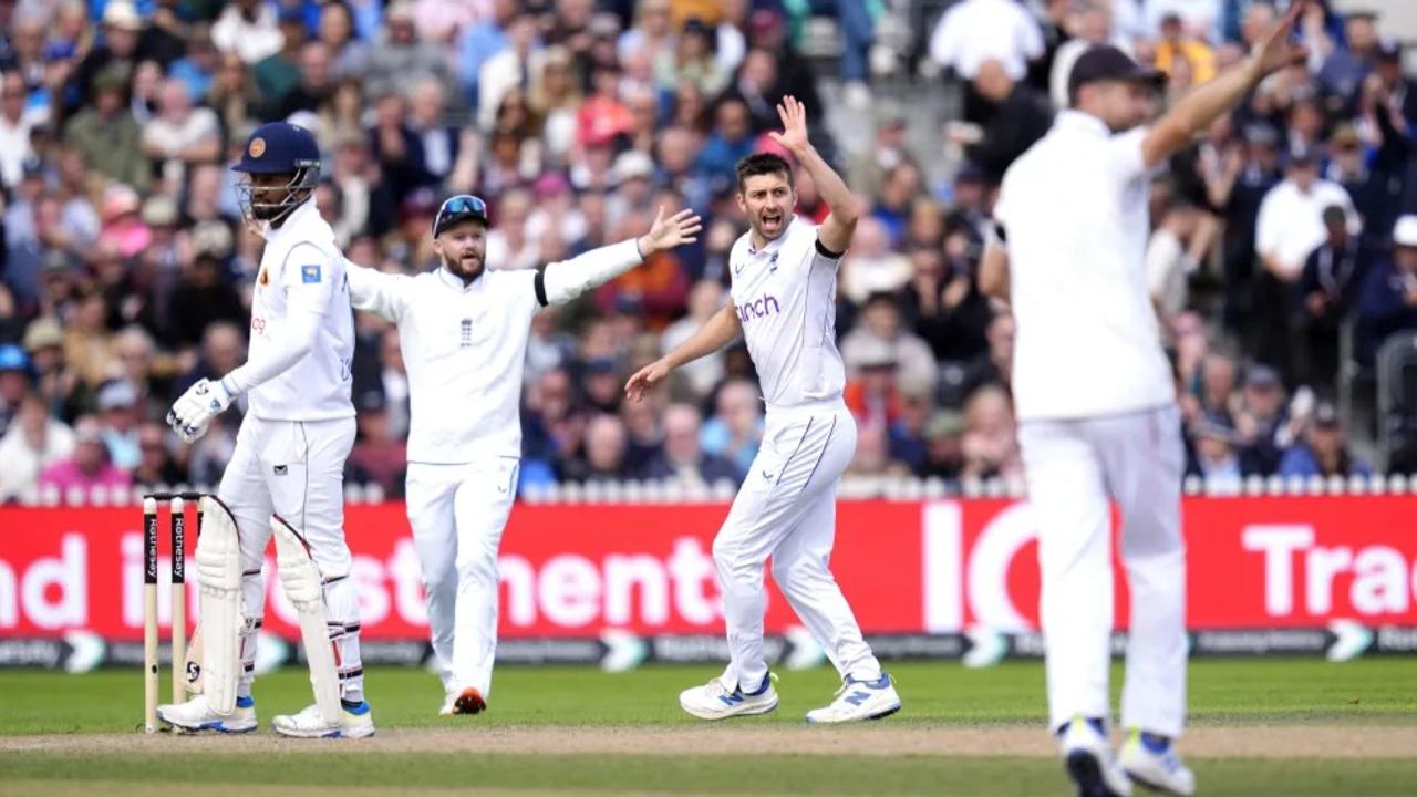 Mark Wood celebrates after taking a wicket