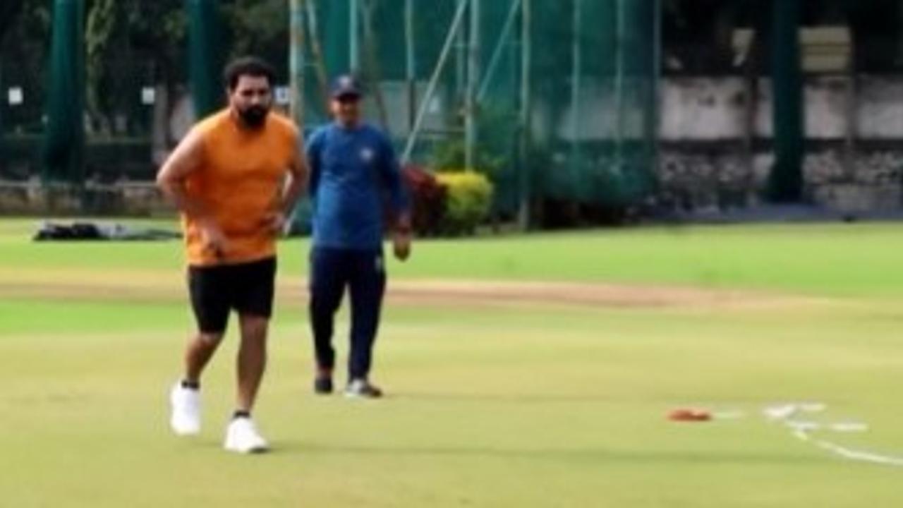 mohammad shami start practice for comeback on cricket ground