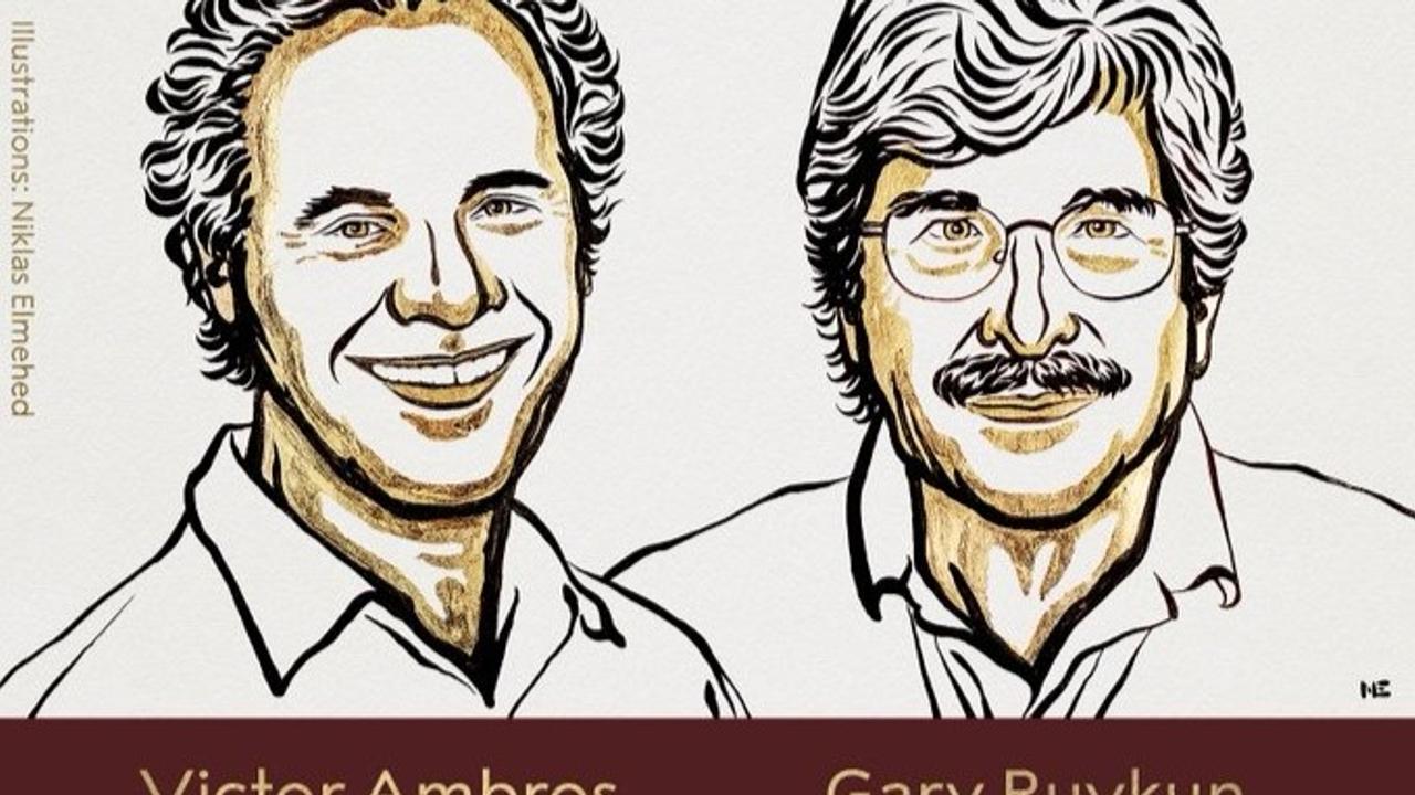 Nobel Prize in Medicine 2024 | Victor Ambros & Gary Ruvkun Honored for MicroRNA Discovery