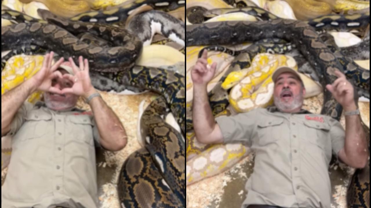 Not An Average Birthday Party: Man Throws a 'Snake Party' with Giant Pythons, Leaves Internet Amazed