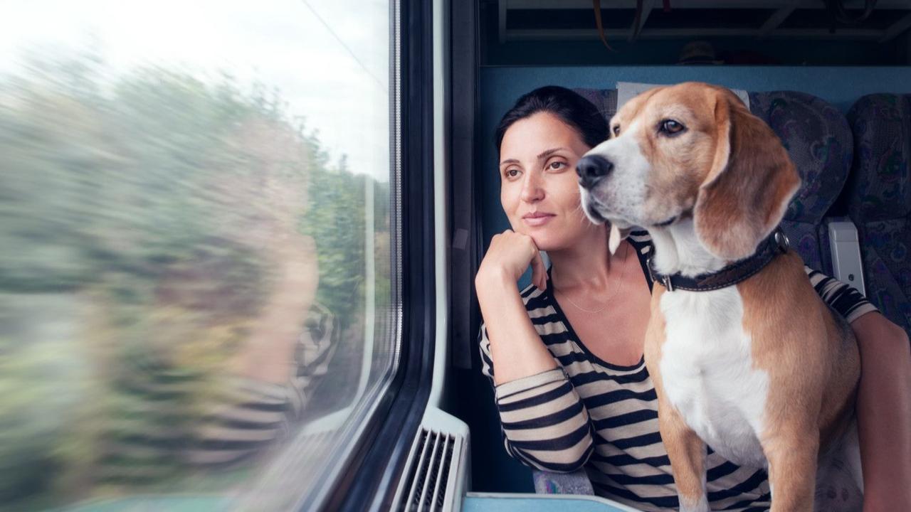 Pet-friendly rail travel in India 