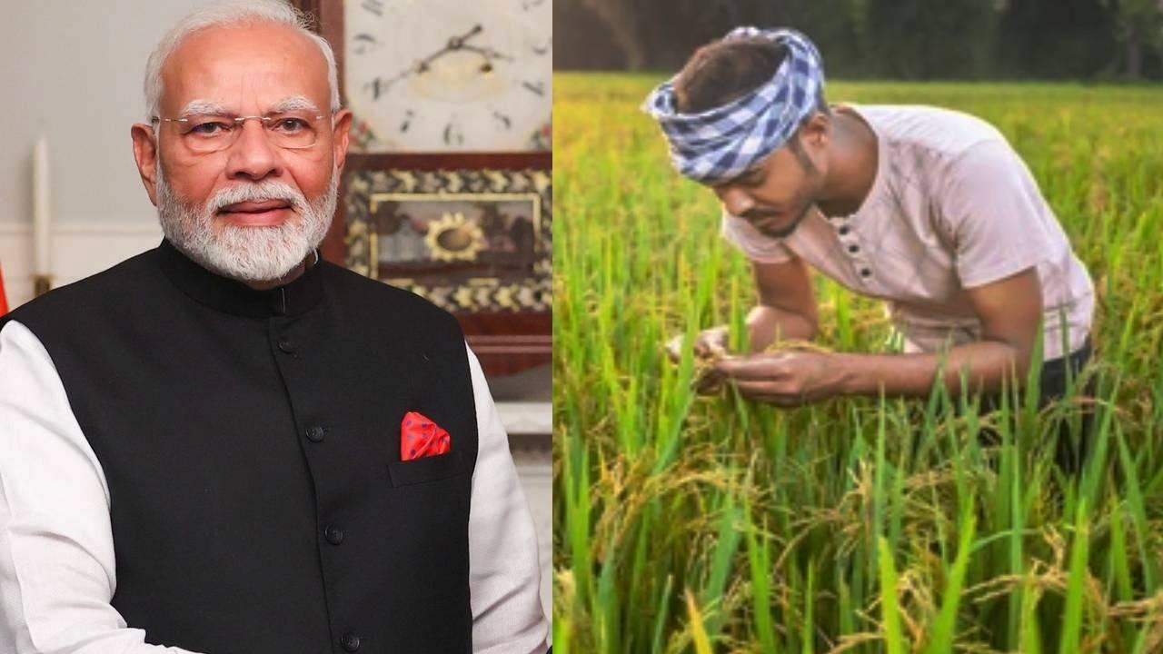 pm modi will release the 18th installment of the kisan samman nidhi