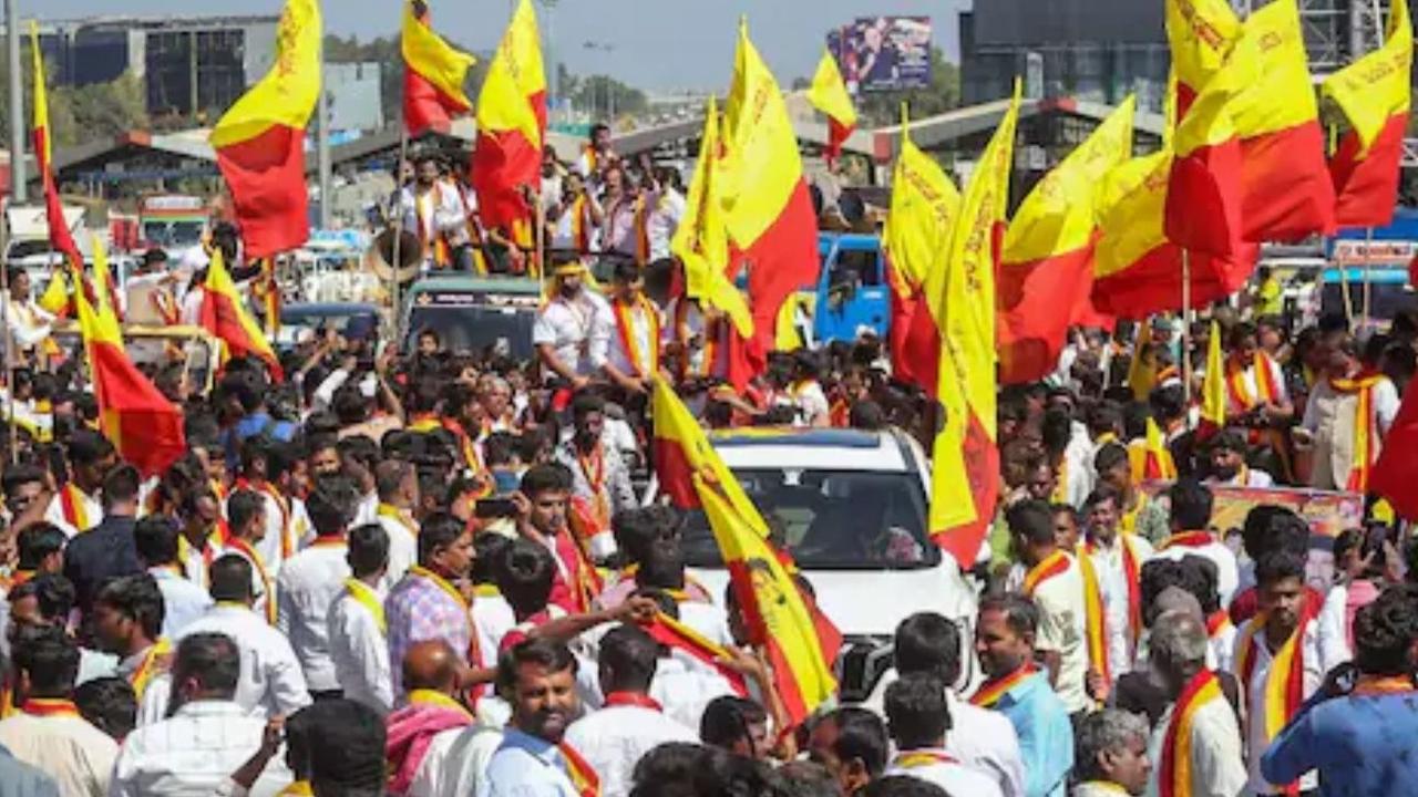 Pro Kannada Protest