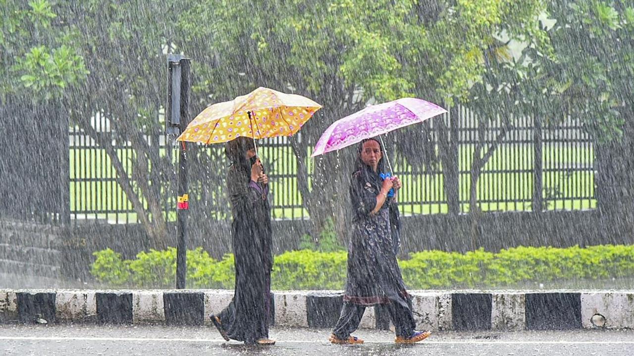 Maharashtra Rain