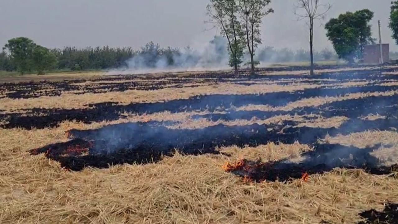  Punjab reports 70% reduction in farm fires this season