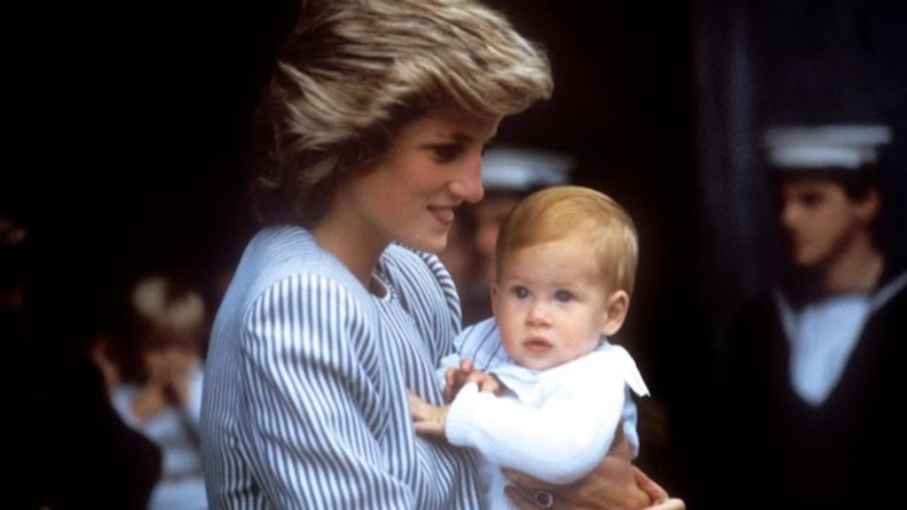 Red Hair and Royalty: The Truth About Prince Harry’s Paternity Revealed