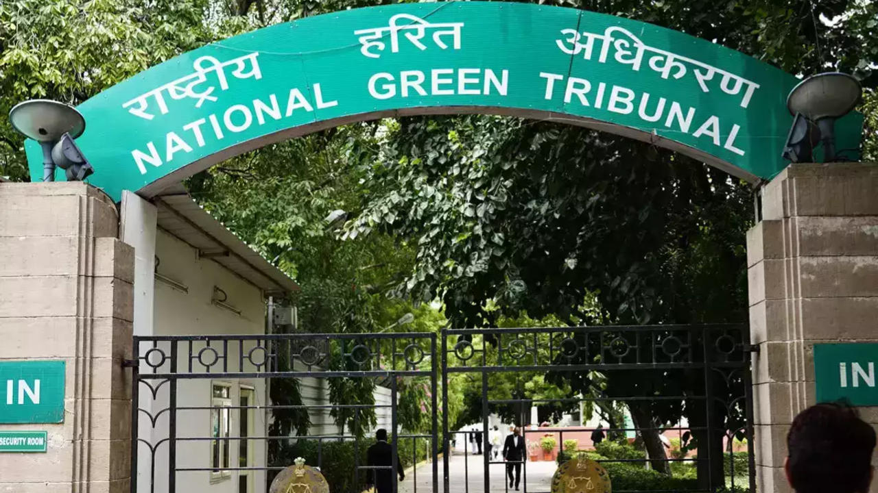 NGT castigates DJB official for changing replies on every appearance regarding function of sewage treatment plant