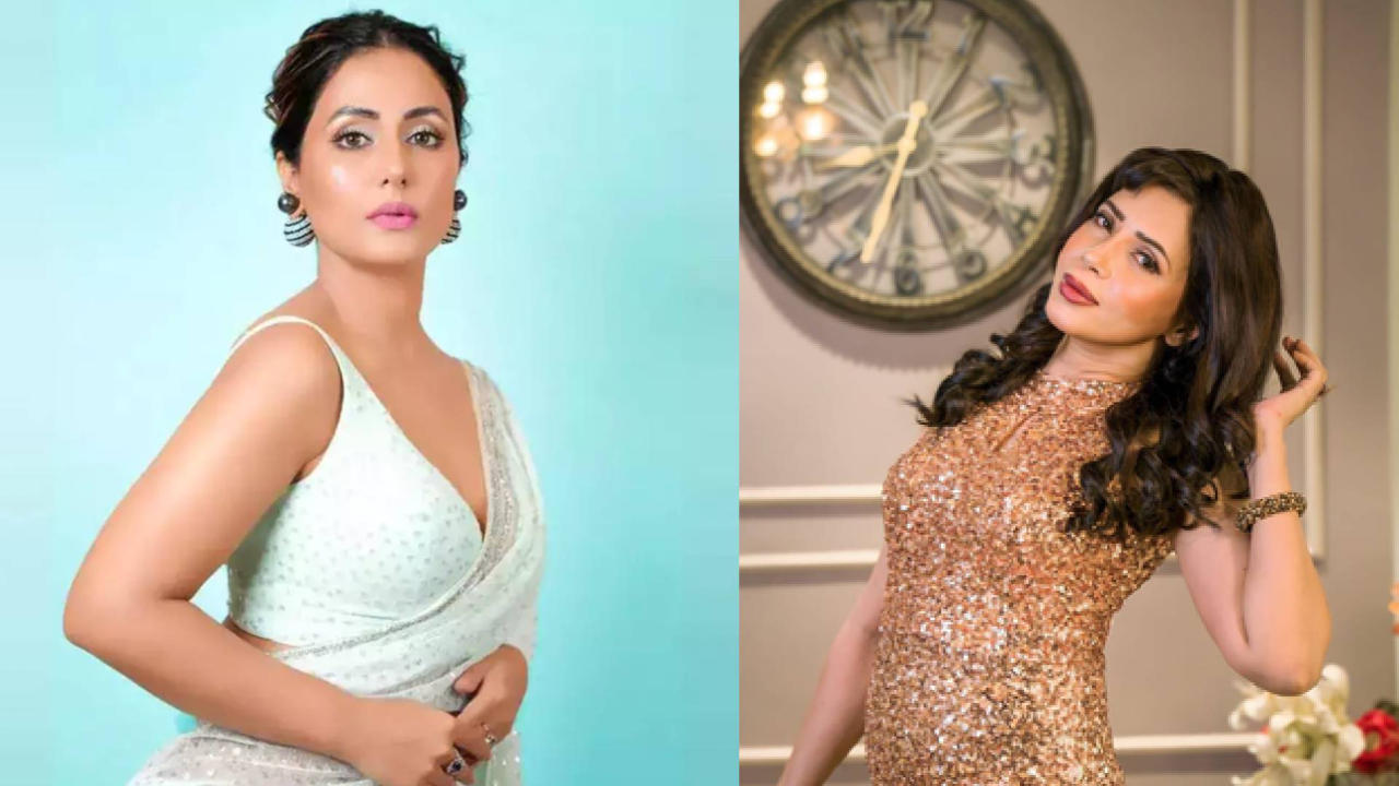 Rozlyn Khan slams Hina Khan