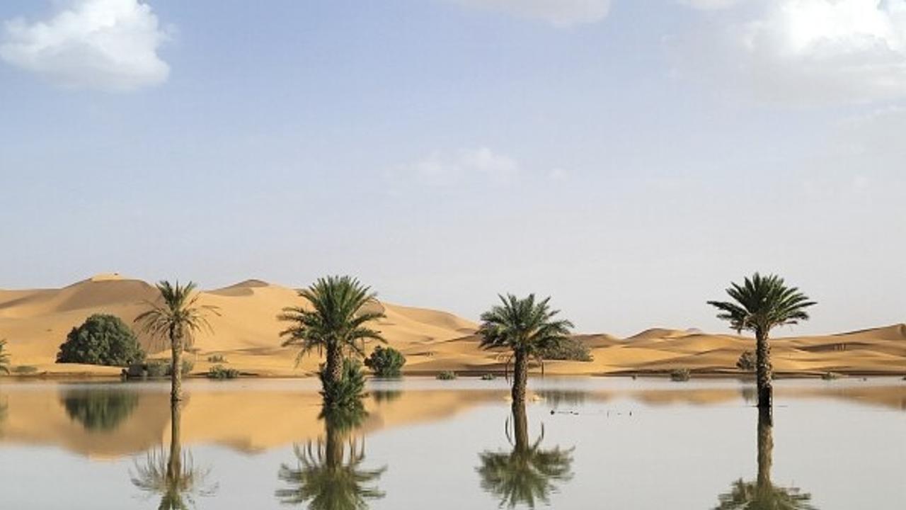 Sahara desert