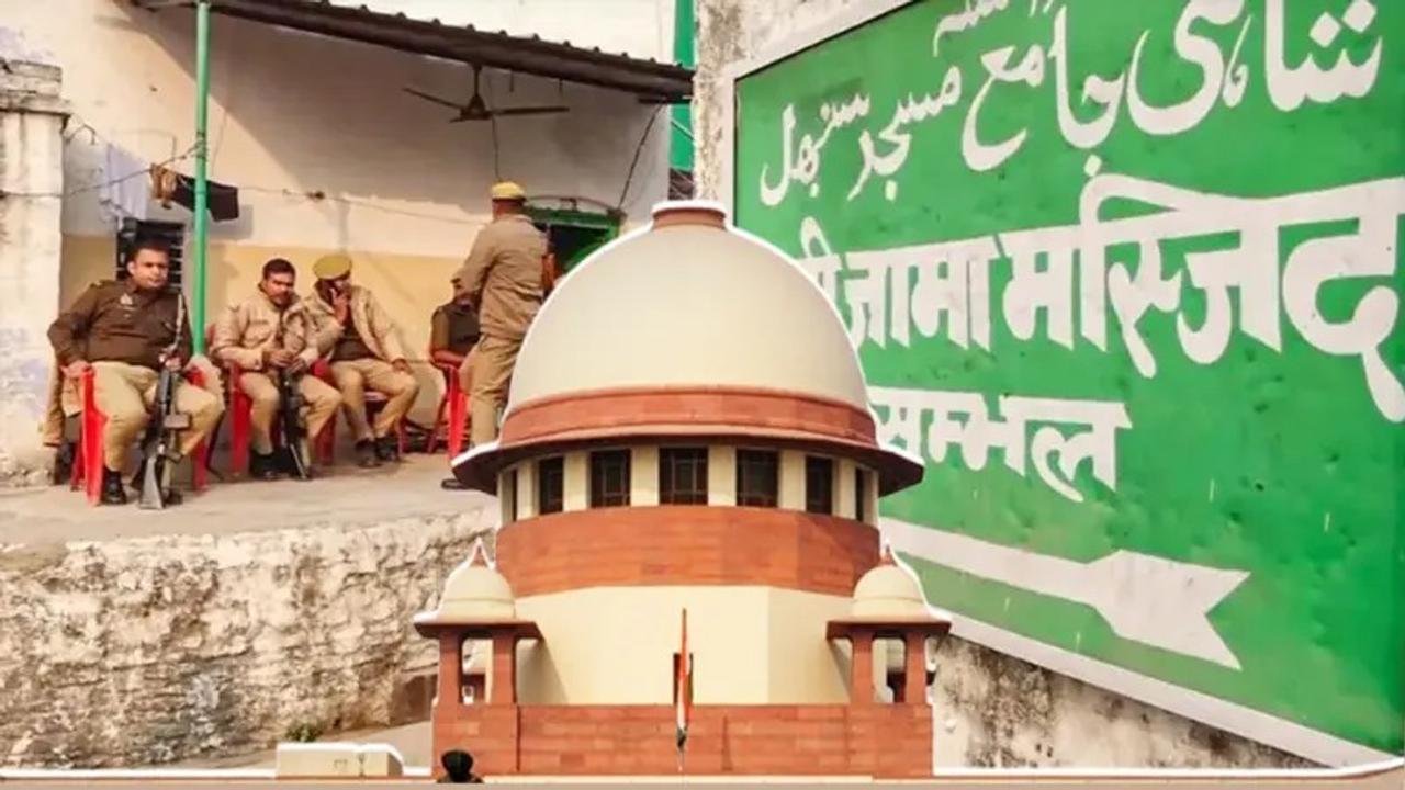 Sambhal Violence: SC Says No Further Action Over Mosque Survey Till Muslim Side's Plea Listed in HC