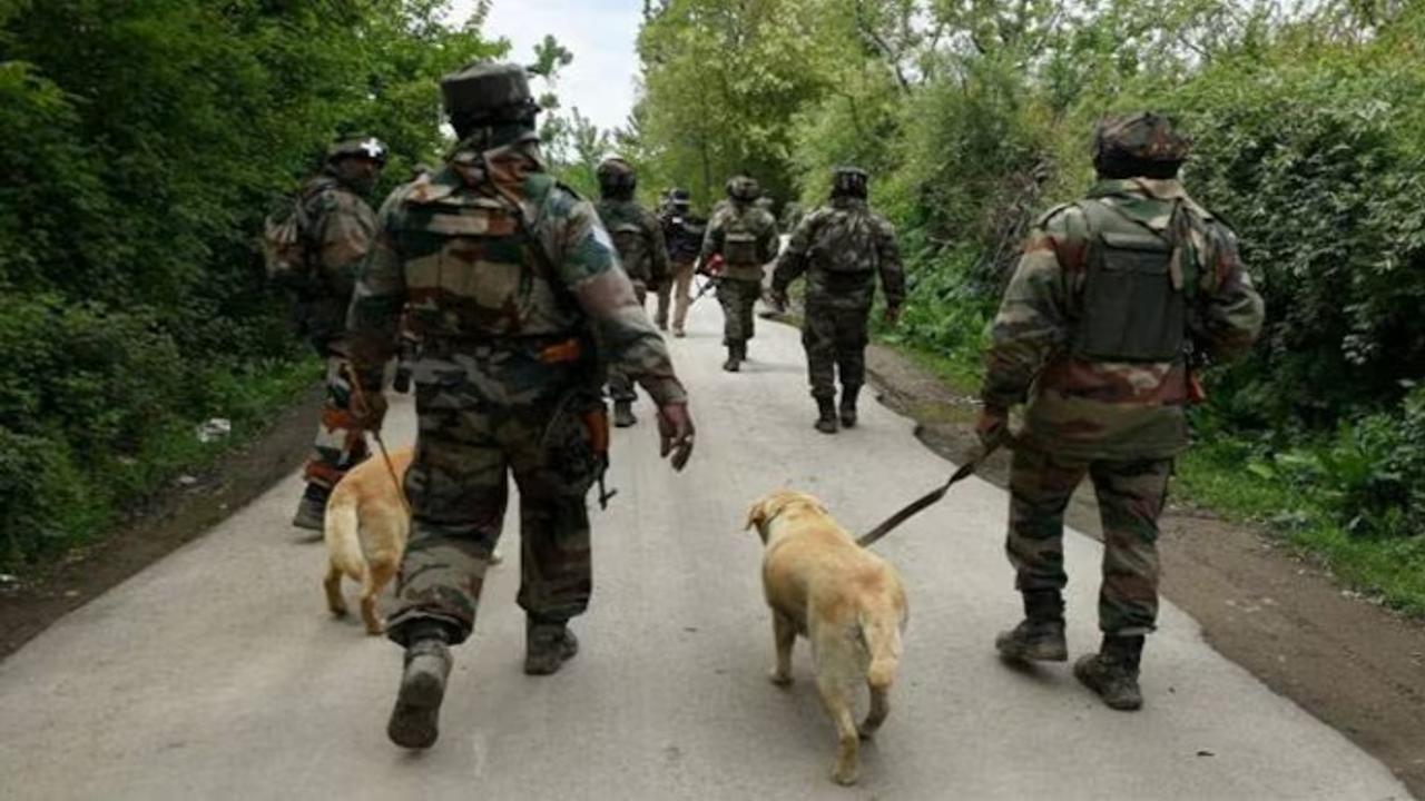 Security forces conducts precautionary search operation in Rajouri