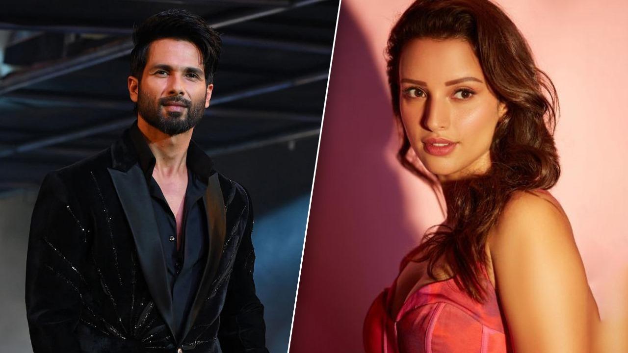  Shahid Kapoor And Triptii Dimri