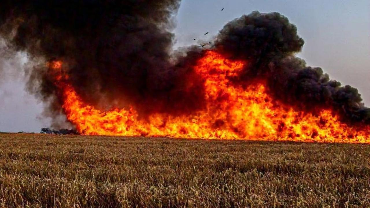 stubble burning