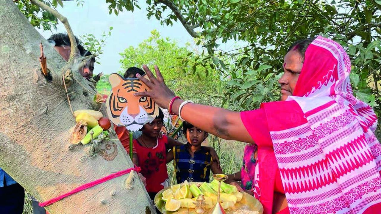 Sundarban women celebrate 'Bhaiphota' by honouring mangroves