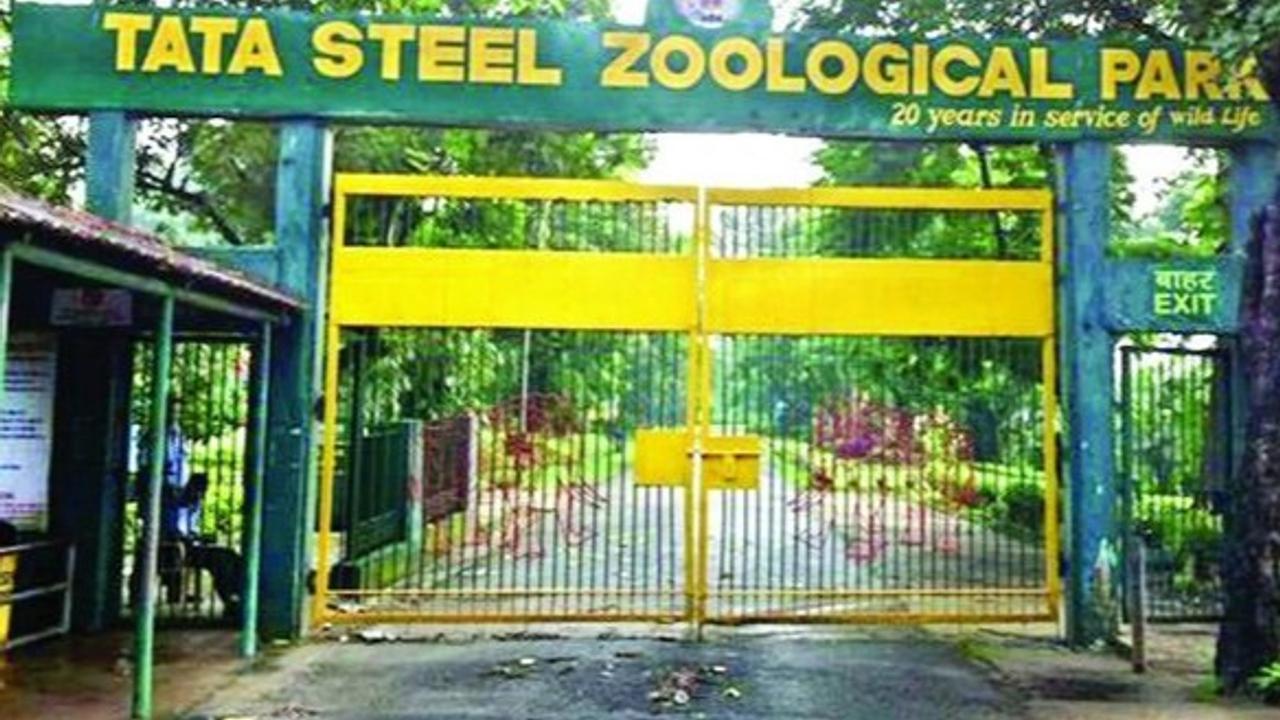 Tata Steel Zoological Park, Jamshedpur