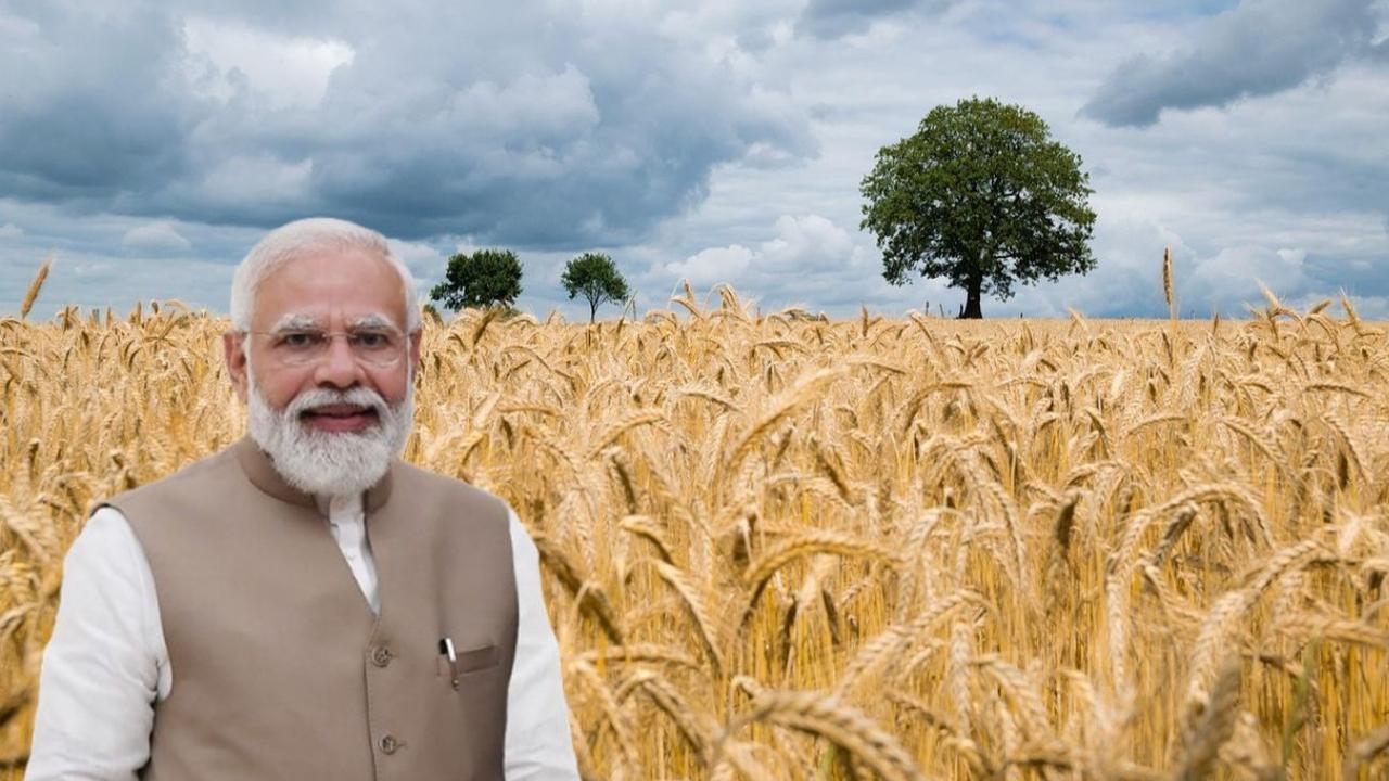 The 19th PM Kisan instalment is expected around February 2025, with funds disbursed every four months