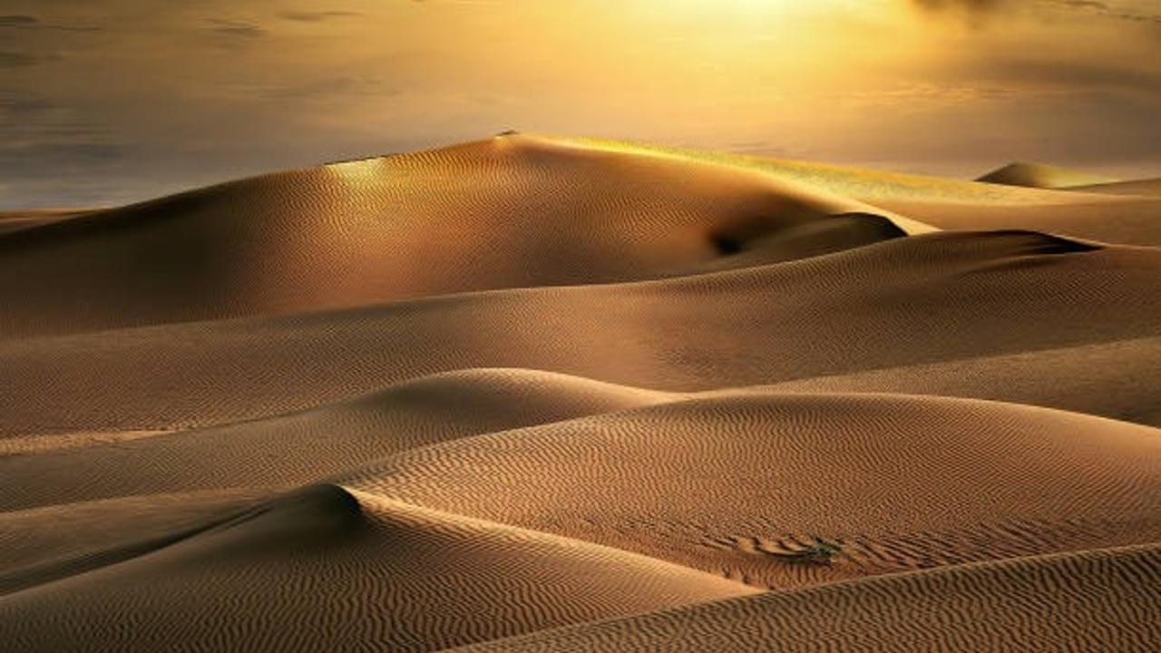 The Empty Quarter