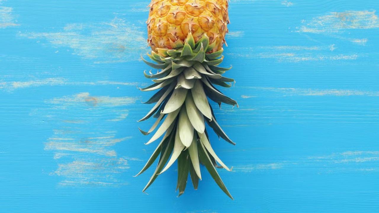 The Upside-down pineapple has a hidden meaning 