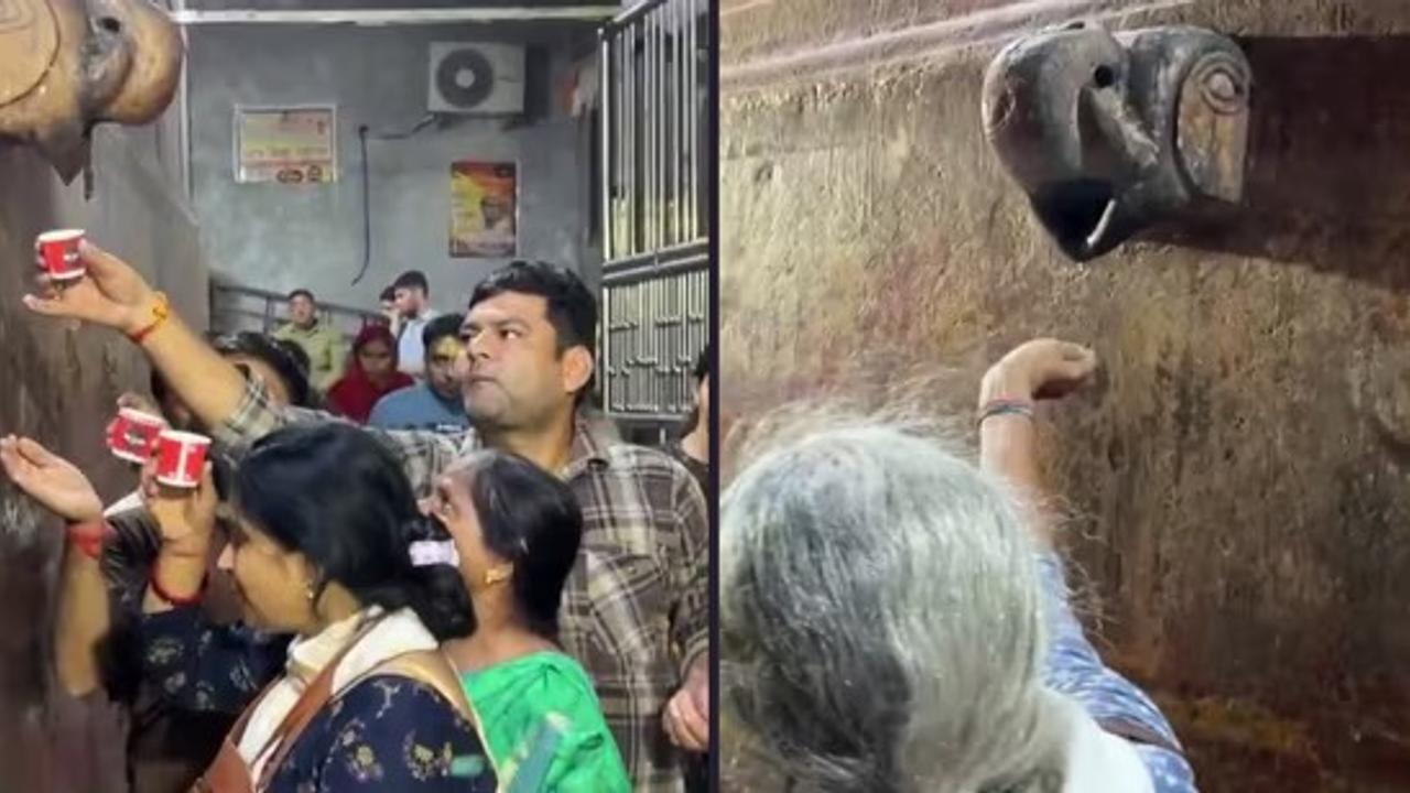 The viral video captures devotees queuing up to drink water dripping from the mouth of an elephant sculpture 