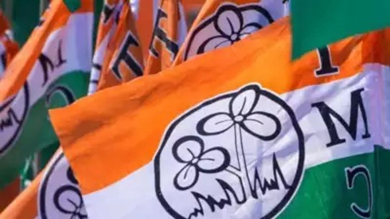 TMC's Sangita Roy Wins Sitai Assembly Seat in Bengal By-Polls