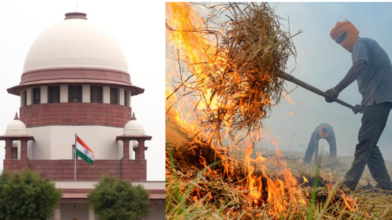 SC Raps Punjab, Haryana Over Stubble Burning