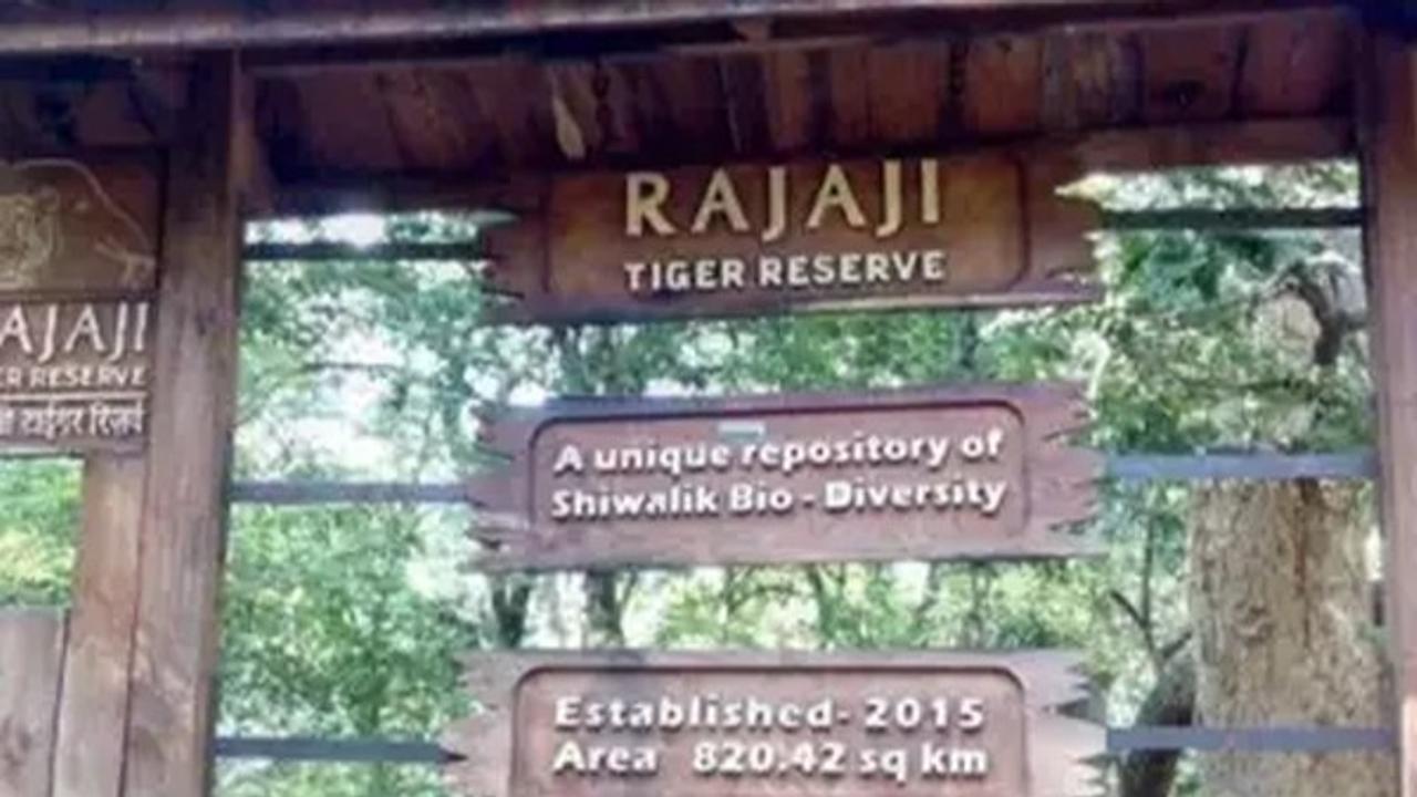 Uttarakhand govt removes Director of Rajaji Tiger Reserve