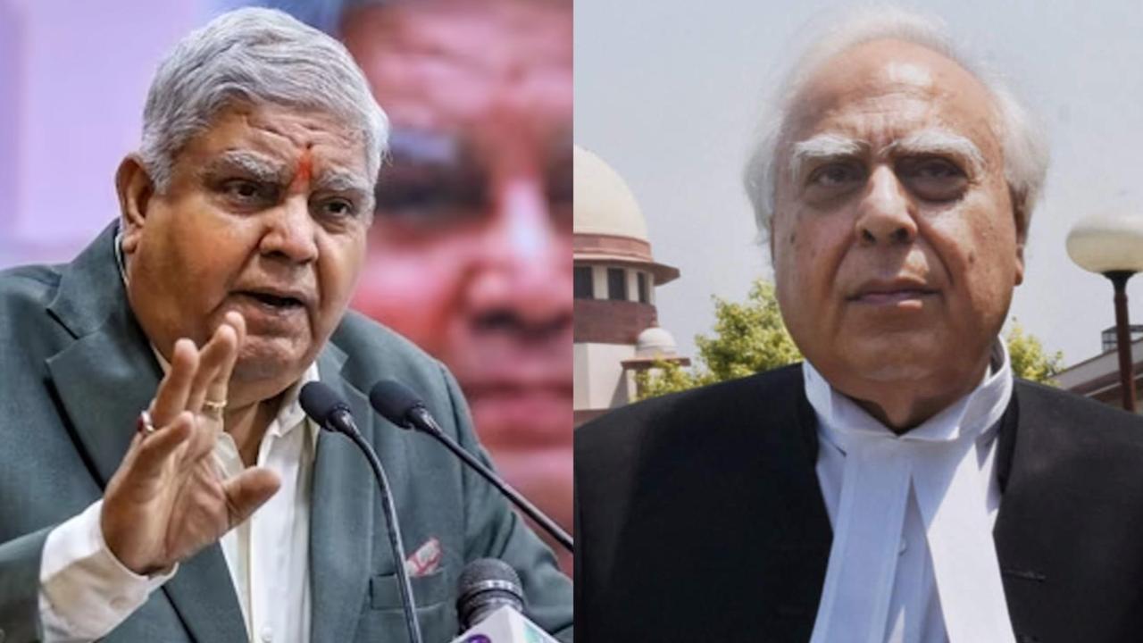 Vice President Jagdeep Dhankar and senior advocate Kapil Sibal 