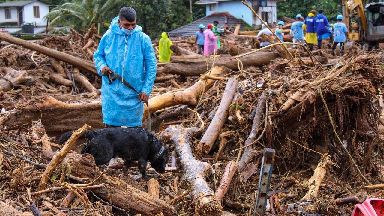 Wayanad landslides