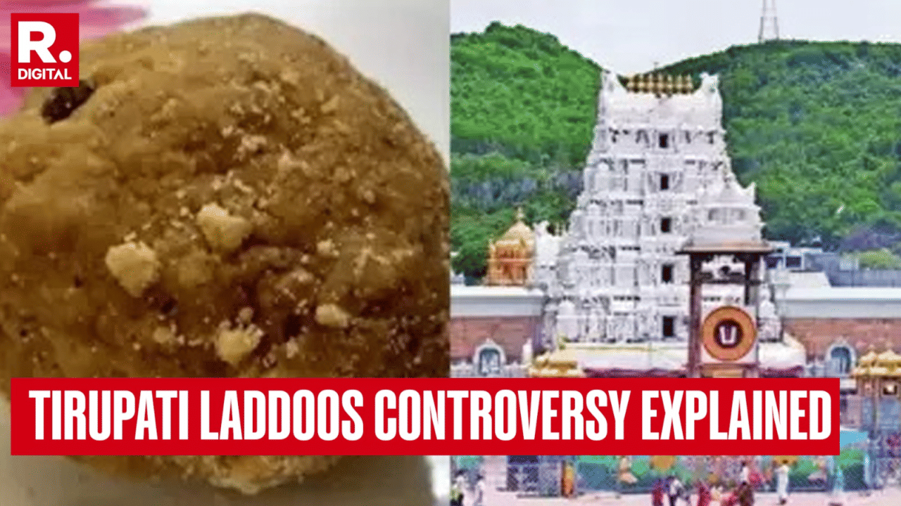 Tirupati Laddoos Controversy: What Was Found In Adulterated Ghee, Who Is At Fault? Explained