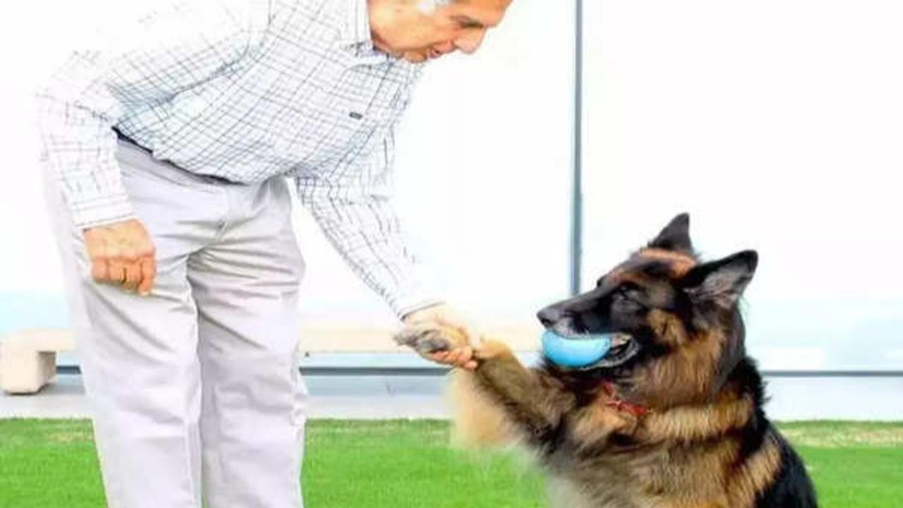 When Ratan Tata Refused To Attend ‘Lifetime Achievement Award’ Event In London Over His Dog’s Health