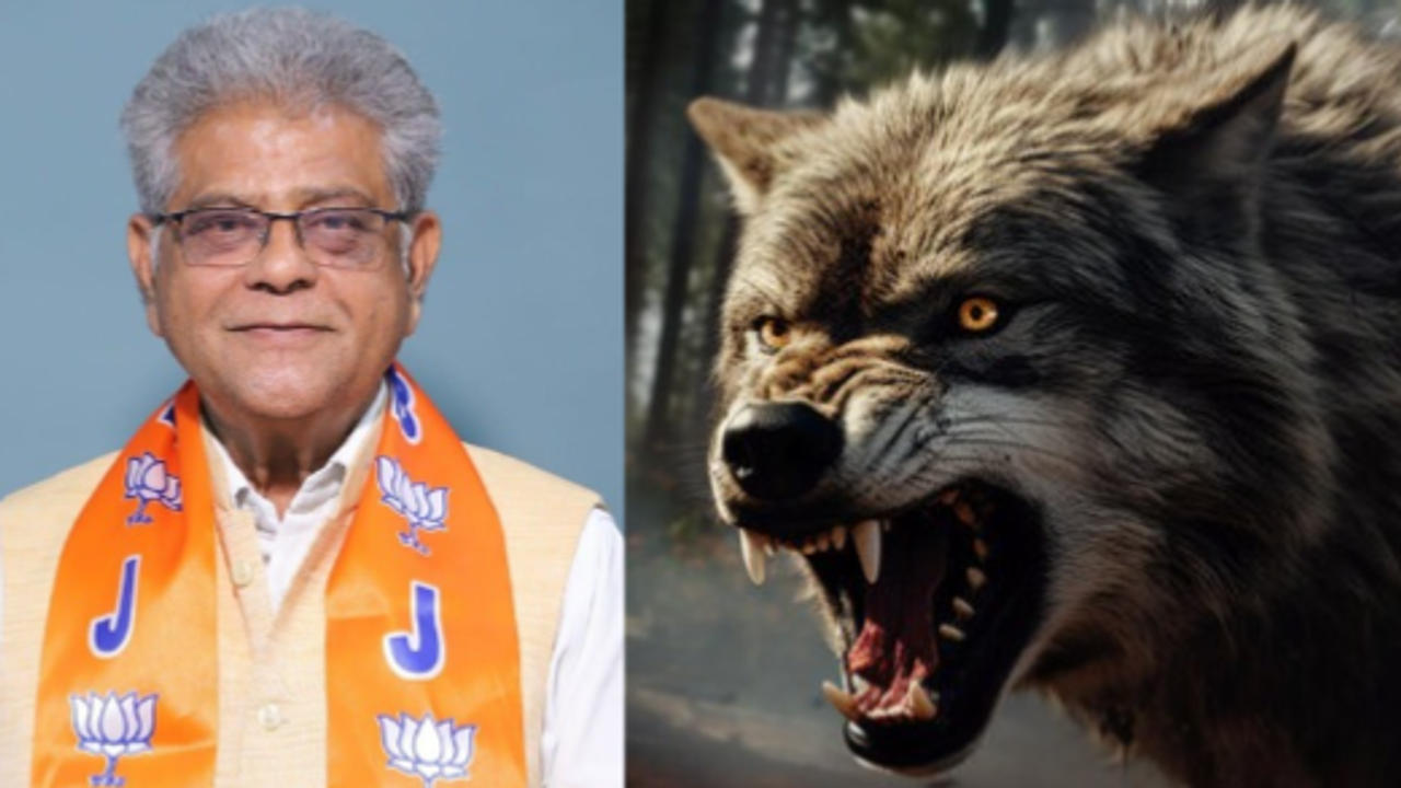 wolves/ Uttar Pradesh Forest Minister Arun Saxena