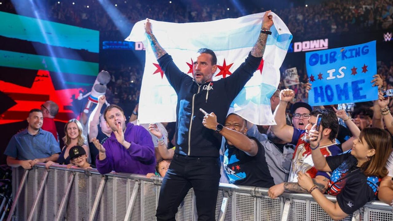 WWE Superstar CM Punk