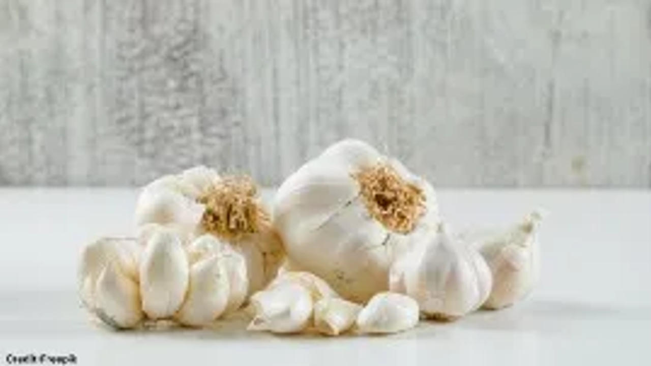 Garlic