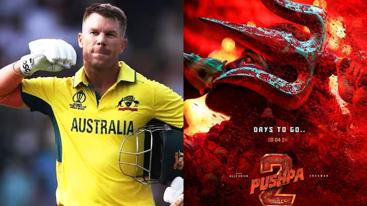 David Warner