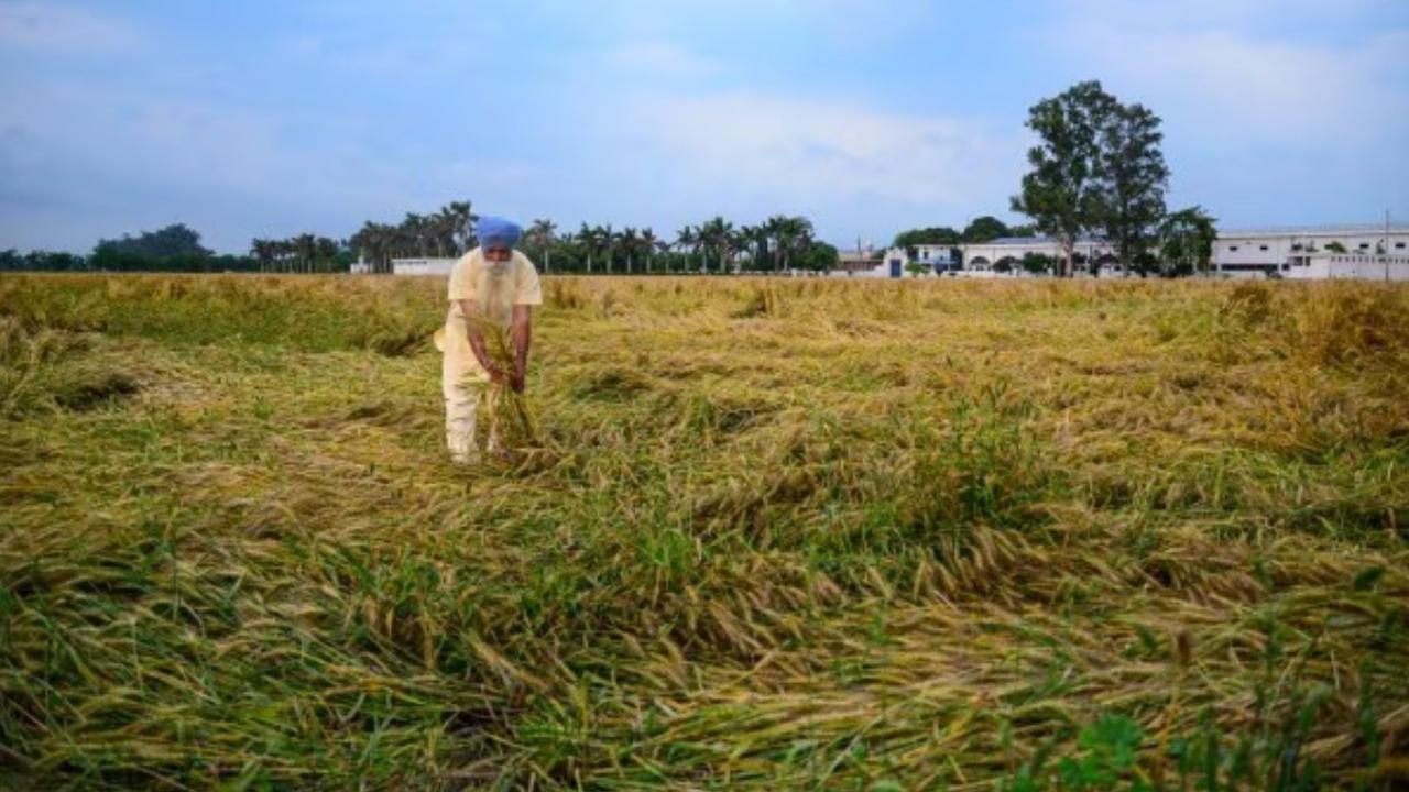 Farmer Commits Suicide