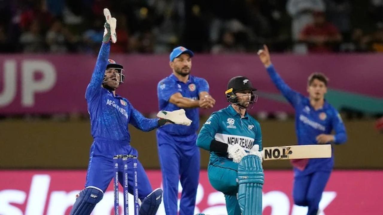 AFG vs NZ, T20 World Cup 2024 