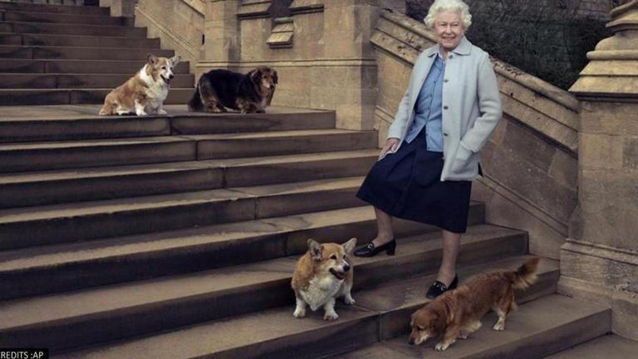 Queen Elizabeth devastated as her pet dorgi Vulcan passes away