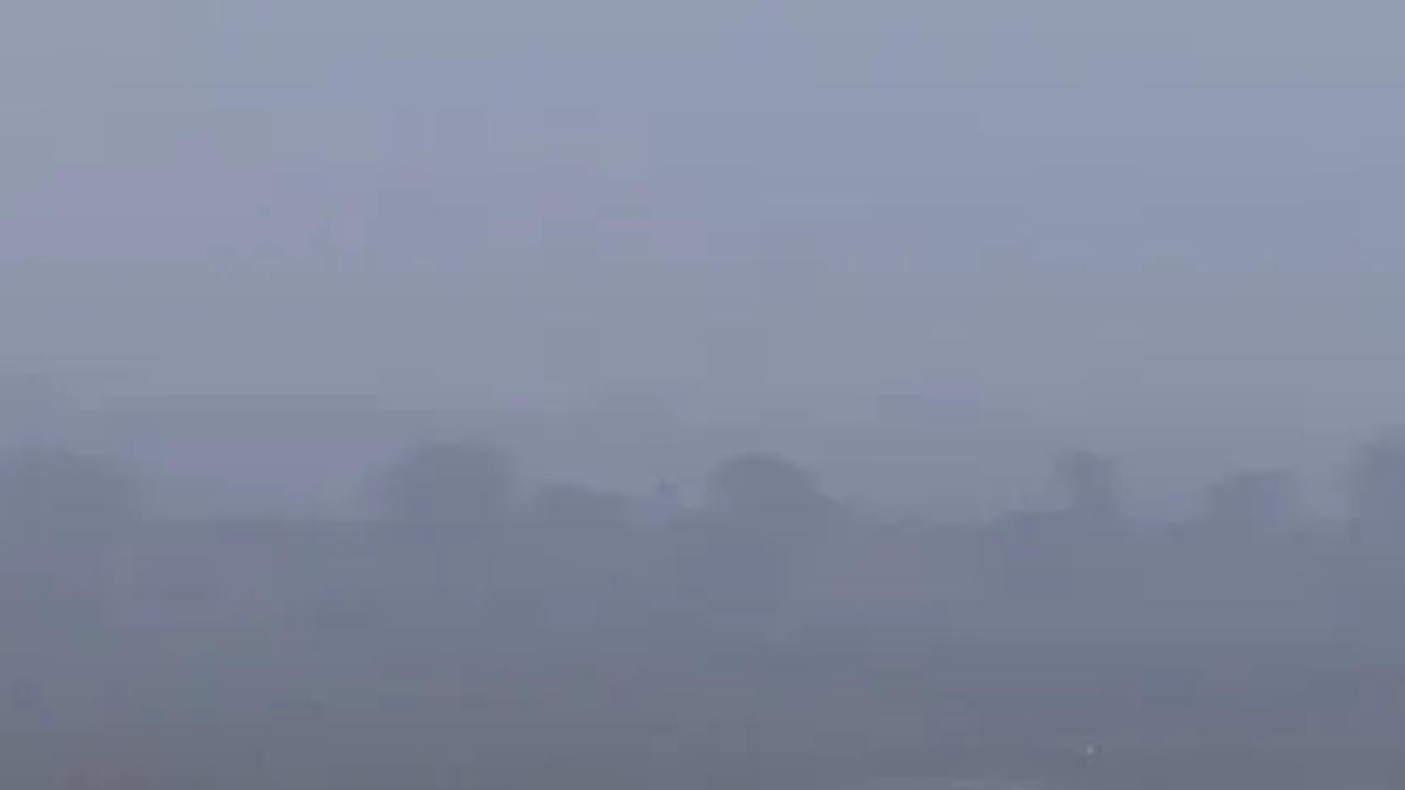 delhi fog