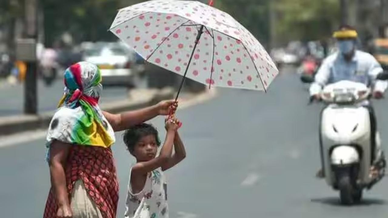 Heatwave continues in Haryana, Punjab