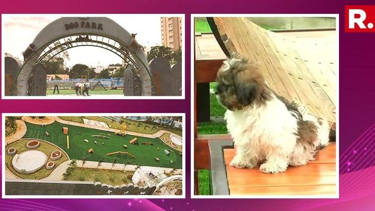 India's first dog park wonderland has opened in Hyderabad and the facilities and cost will make you want to pester your civic authority for one too