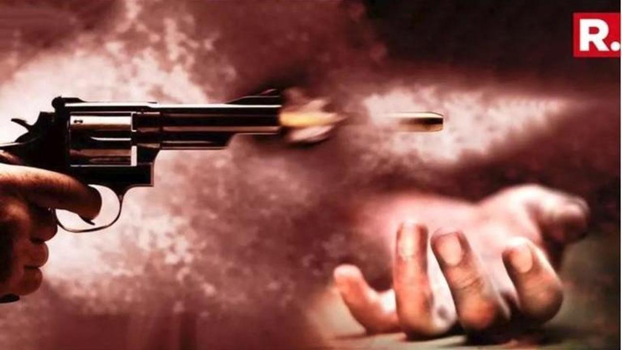 Haryana Shocker: Tata Steel subsidiary manager shot dead by ex-employee